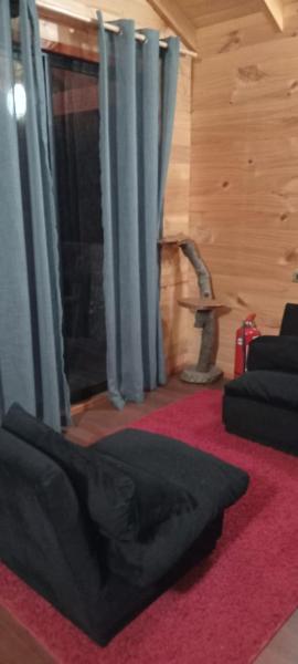 Cabaña caburgua